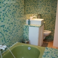 Bathroom 2 - Toilet, Bath with Shower